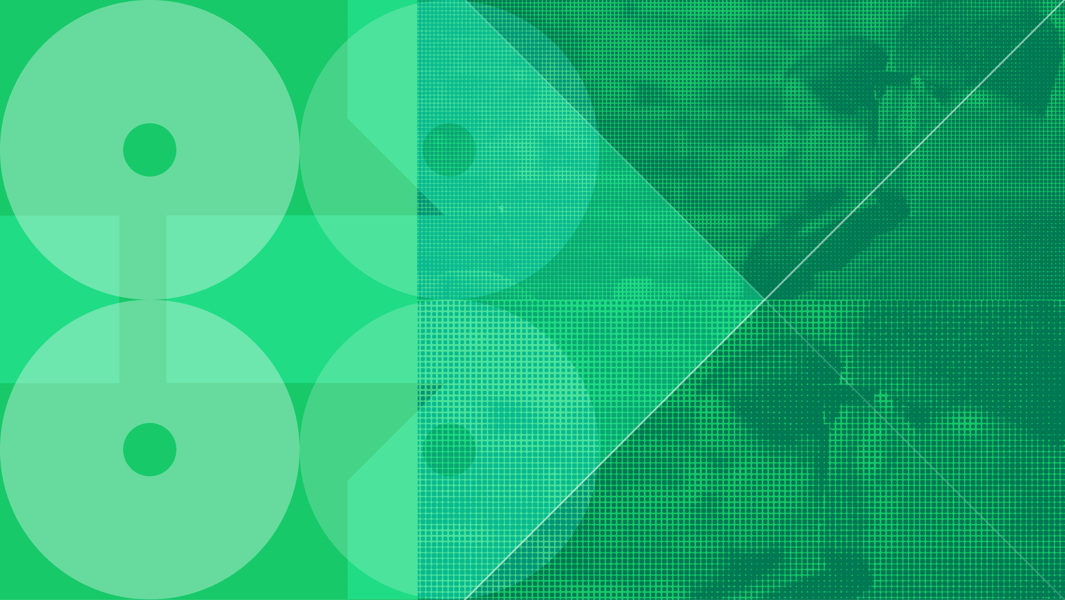halcyon-feeds-header