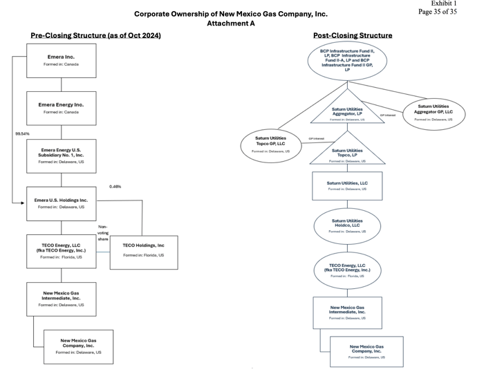 NM_NMGC_Corporate_Structure