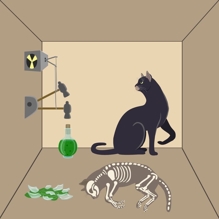schrodingers-cat-2